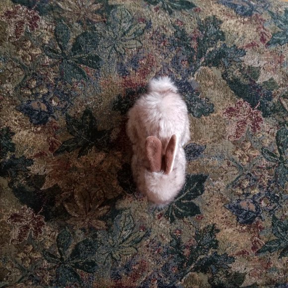 Buster, small rabbit soft, plush, realistic classic toy, Ty, pink-brown - Picture 5 of 8